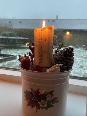 Image chosen by user