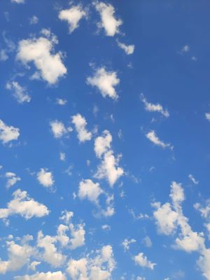 Image chosen by user