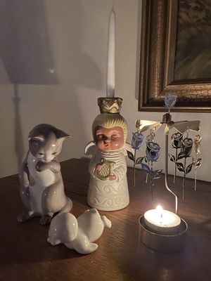 Image chosen by user