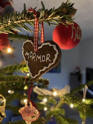 Image chosen by user