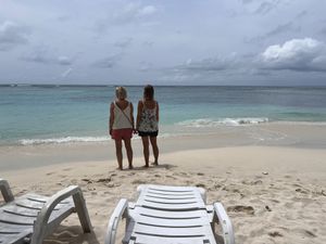 Image chosen by user