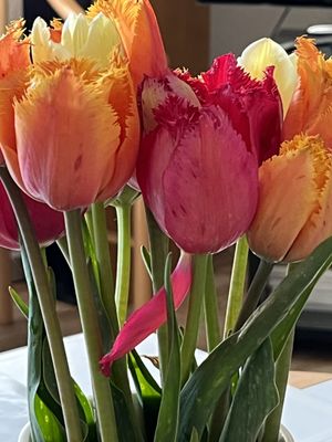 Image chosen by user