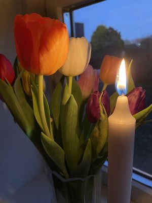 Image chosen by user