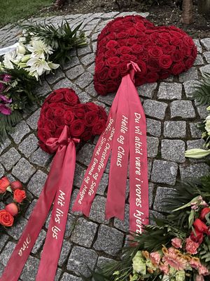 Image chosen by user