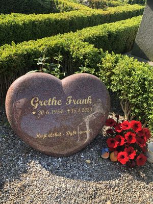 Image chosen by user