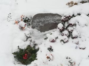 Image chosen by user