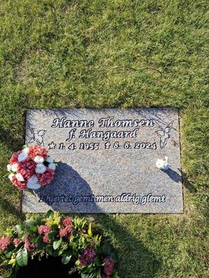 Image chosen by user