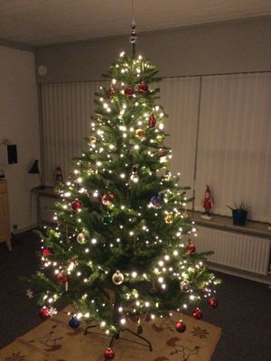 Image chosen by user