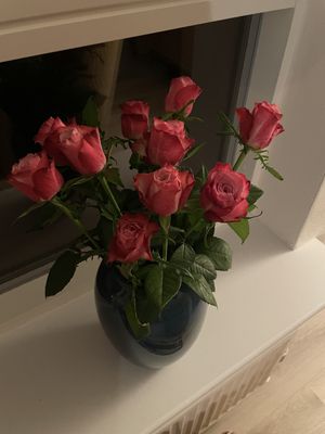 Image chosen by user