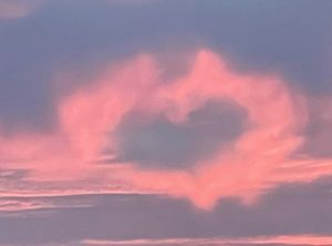 Image chosen by user