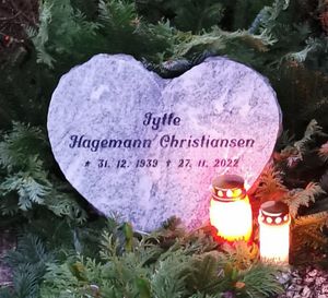 Image chosen by user