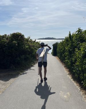 Image chosen by user