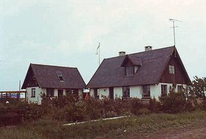 Brugervalgt billede