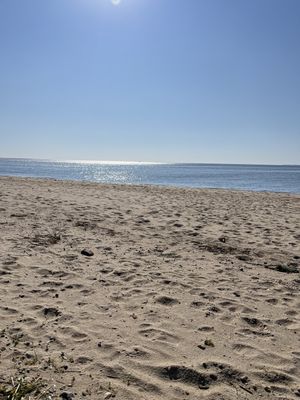 Image chosen by user