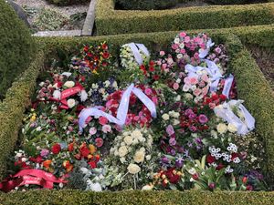 Image chosen by user