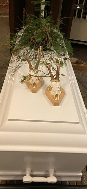 Image chosen by user