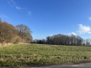 Image chosen by user