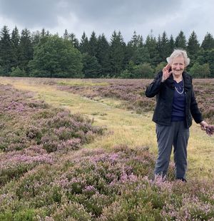 Image chosen by user