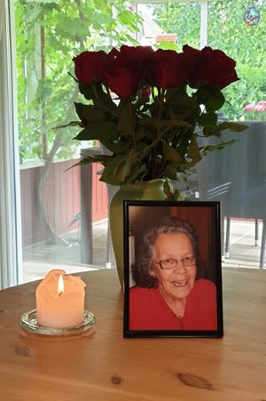 Image chosen by user