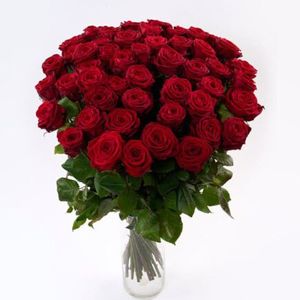 Image chosen by user