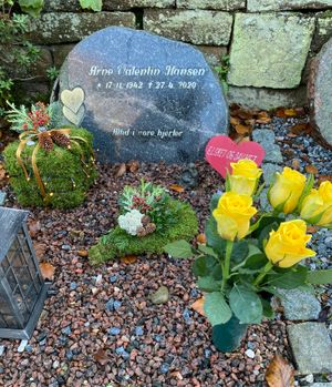 Image chosen by user