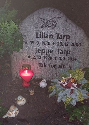 Image chosen by user