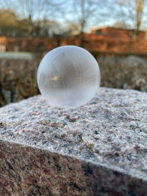 Image chosen by user