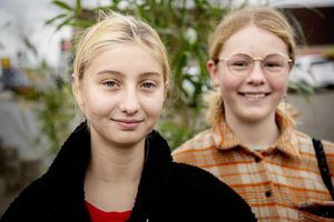 Image chosen by user