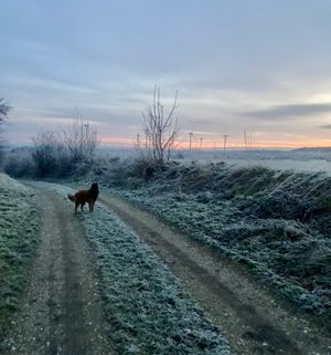 Image chosen by user