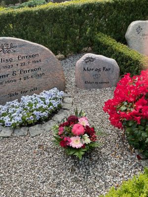 Image chosen by user