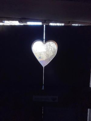 Image chosen by user