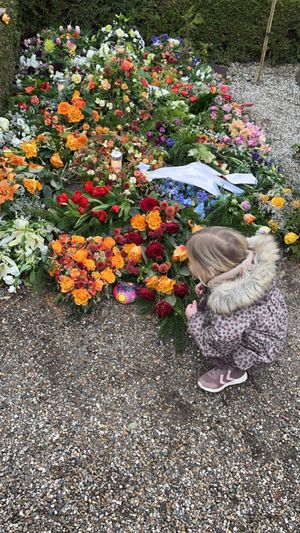 Image chosen by user