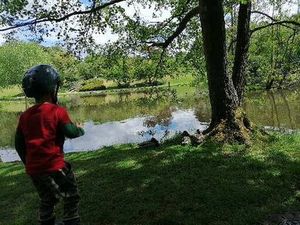 Image chosen by user