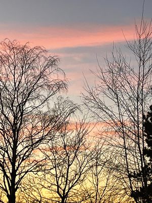 Image chosen by user