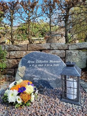 Image chosen by user