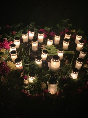 Image chosen by user