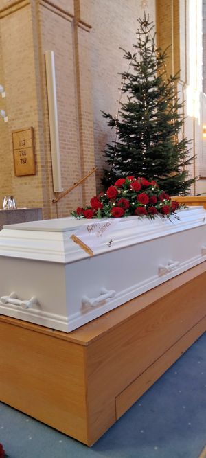 Image chosen by user