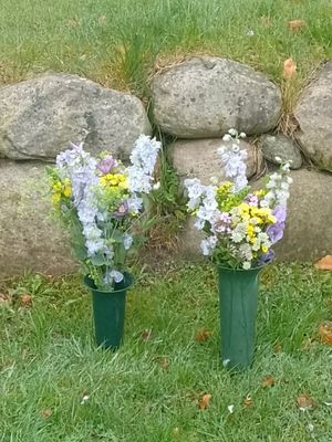 Image chosen by user