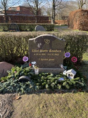 Image chosen by user