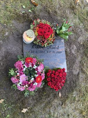 Image chosen by user