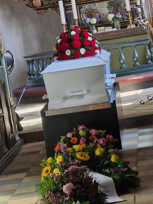 Image chosen by user