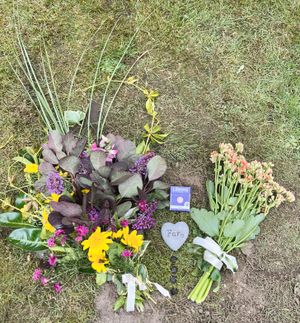 Image chosen by user