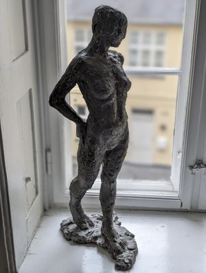 Image chosen by user