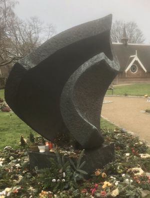 Image chosen by user