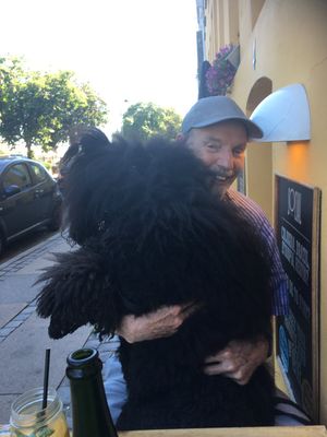 Image chosen by user