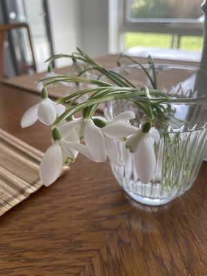 Image chosen by user