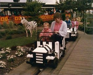 Image chosen by user