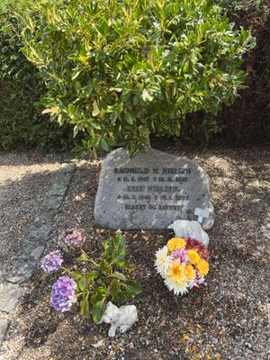 Image chosen by user