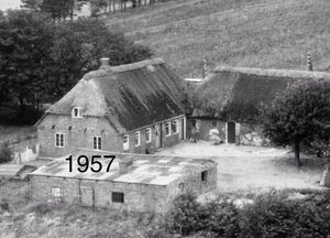 Image chosen by user