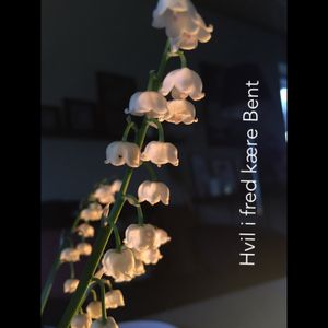 Image chosen by user